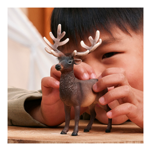 Schleich Elk 14992