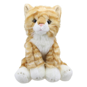 The Puppet Company Ginger Cat Wilberry Favourite Soft Toy - SOFT TOYS - Beattys of Loughrea