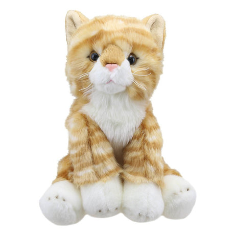 The Puppet Company Ginger Cat Wilberry Favourite Soft Toy - SOFT TOYS - Beattys of Loughrea
