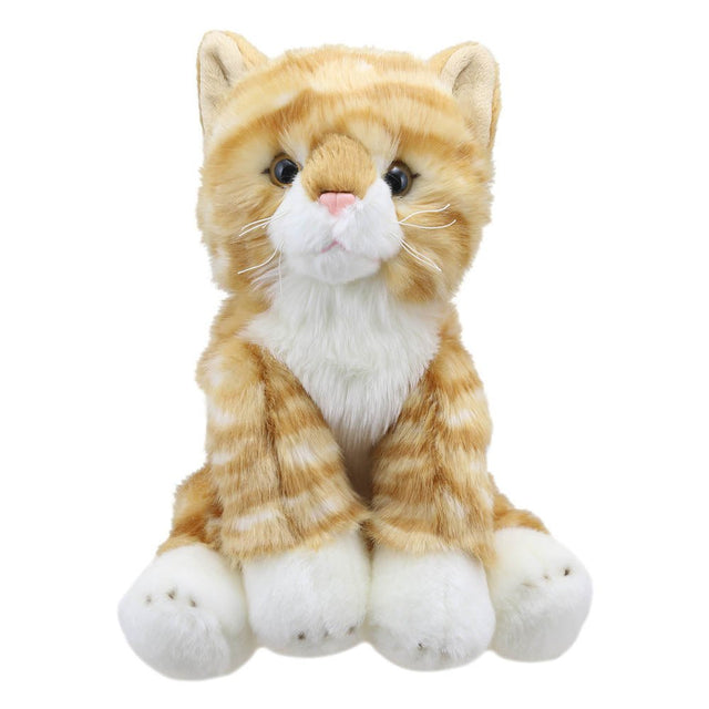 The Puppet Company Ginger Cat Wilberry Favourite Soft Toy - SOFT TOYS - Beattys of Loughrea