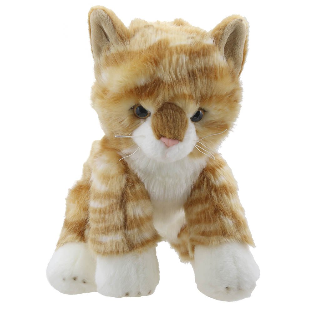 The Puppet Company Ginger Cat Wilberry Favourite Soft Toy - SOFT TOYS - Beattys of Loughrea
