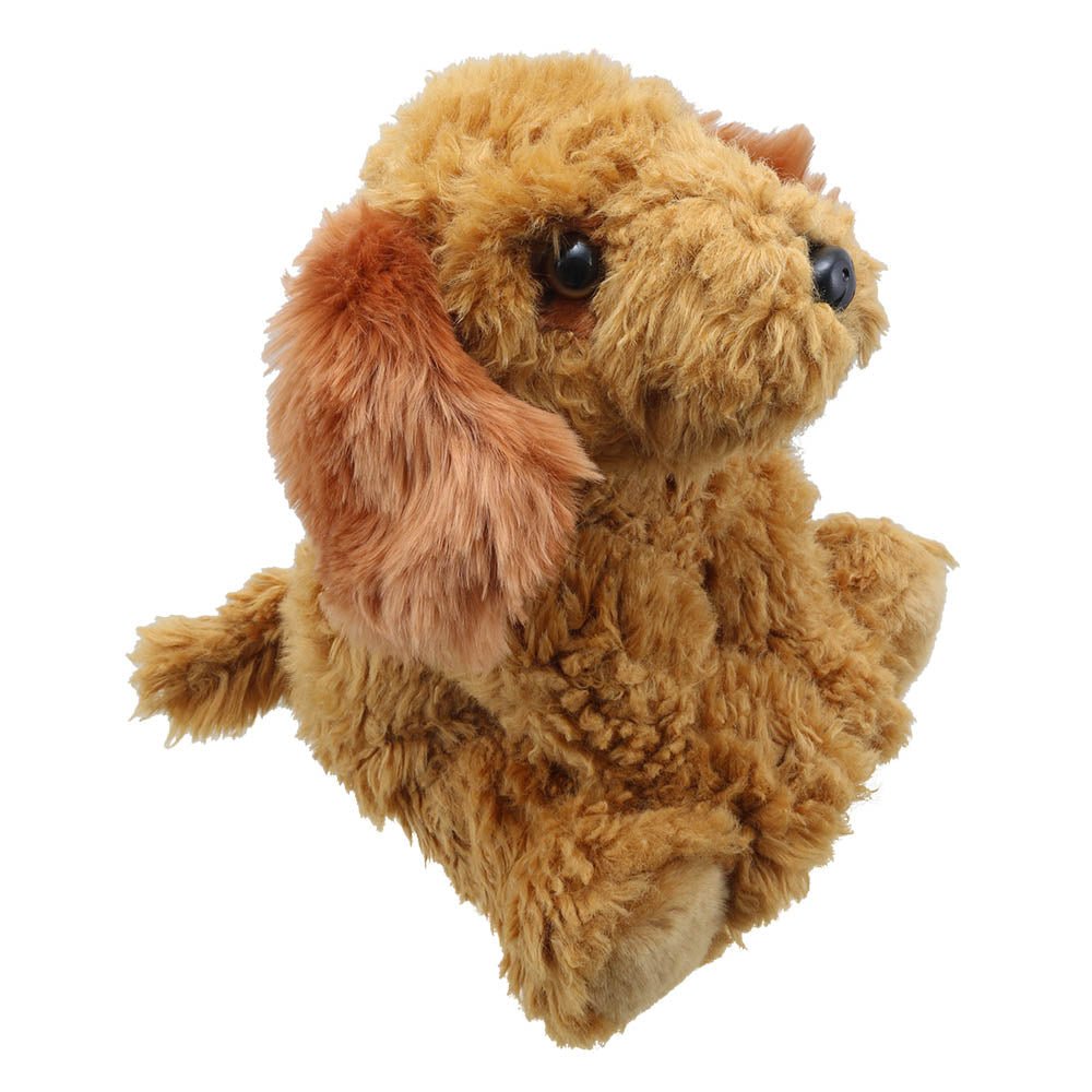 The Puppet Company Golden Cockapoo Wilberry Favourite Soft Toy - SOFT TOYS - Beattys of Loughrea