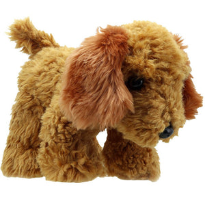 The Puppet Company Golden Cockapoo Wilberry Favourite Soft Toy - SOFT TOYS - Beattys of Loughrea