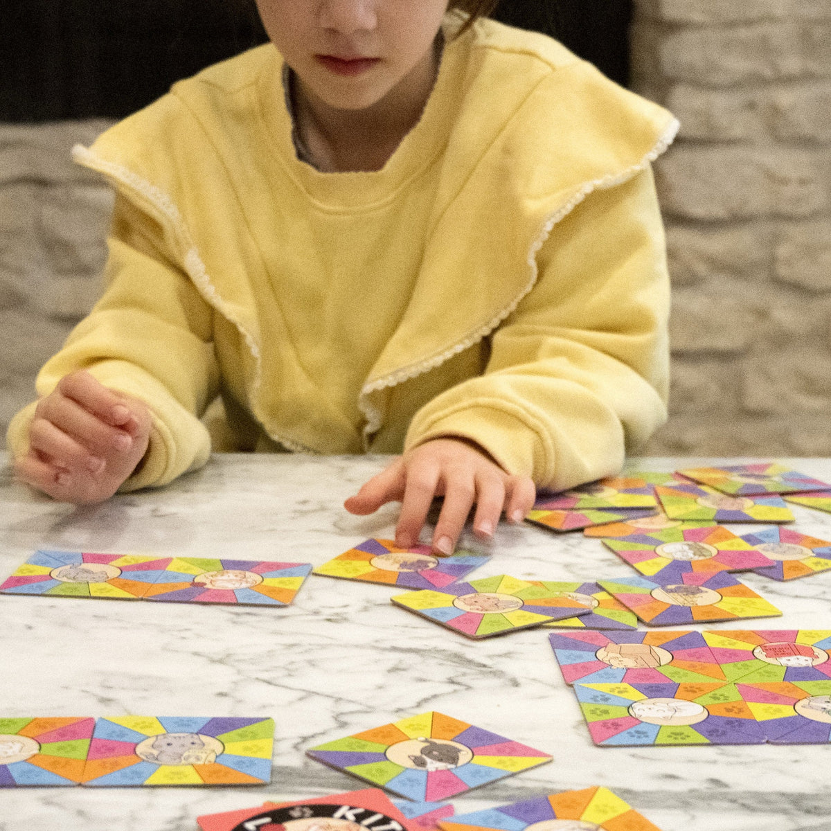 Project Genius Kitty Litter Tile Matching Game