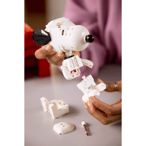 LEGO Ideas Peanuts Snoopy’s Doghouse 21368 - CONSTRUCTION - LEGO/KNEX ETC - Beattys of Loughrea