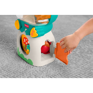 Fisher-Price Light-Up & Roll Frog - BABY TOYS - Beattys of Loughrea