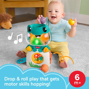 Fisher-Price Light-Up & Roll Frog - BABY TOYS - Beattys of Loughrea