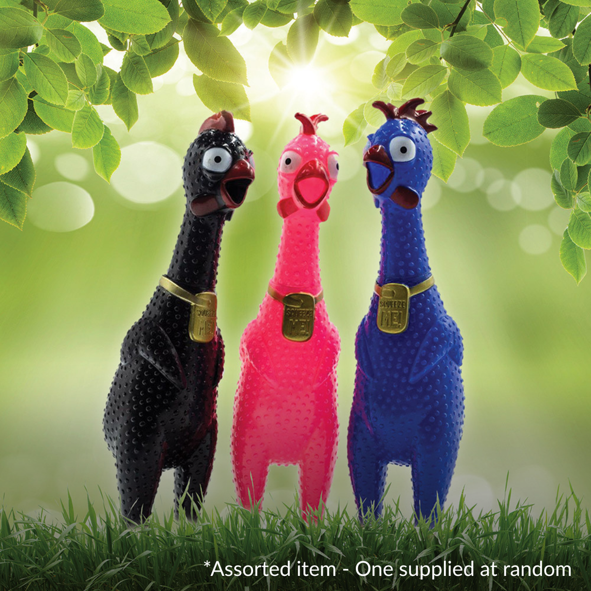 Squawking Stress Chicken Assorted - One Supplied*