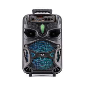RED5 Bluetooth Karaoke Speaker with Microphone - MIDI HIFI / KARAOKE - Beattys of Loughrea