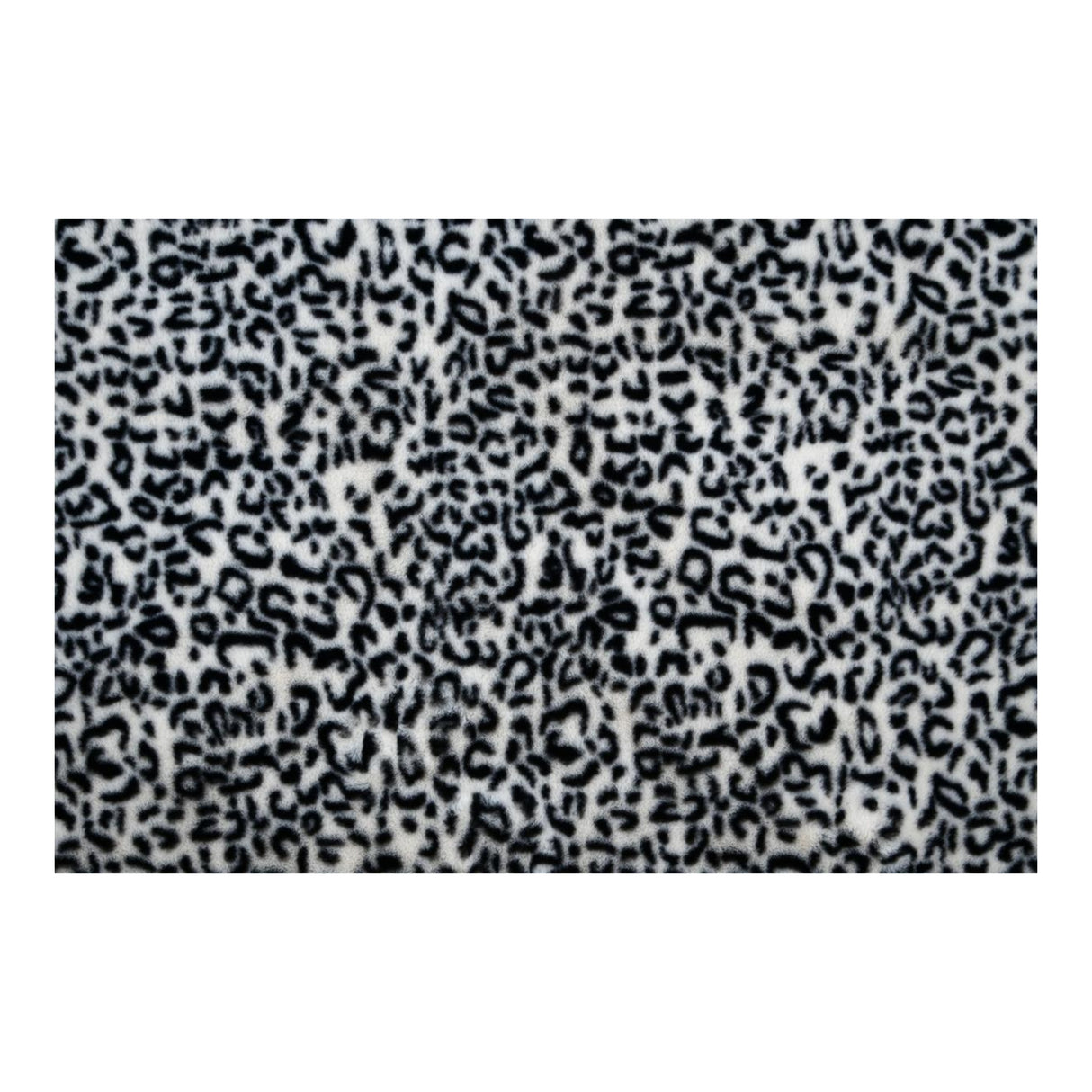 STOF Panthera Leopard-Print Cushion, Black, 45x45cm - CUSHIONS/COVERS - Beattys of Loughrea
