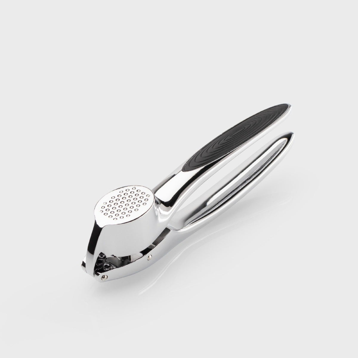 Taylor's Eye Witness Chrome Garlic Press