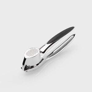 Taylor's Eye Witness Chrome Garlic Press