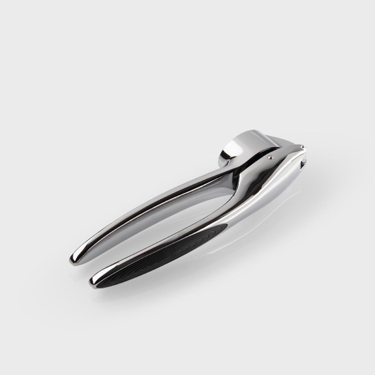 Taylor's Eye Witness Chrome Garlic Press