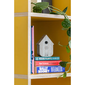 Karlsson Modern Cuckoo Sound Box - White Wash