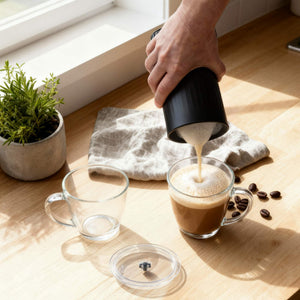 Progress Echo Milk Frother, Black