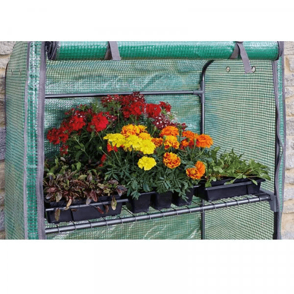 GroZone Growhouse - GREENHOUSE & ACCESSORIES - Beattys of Loughrea