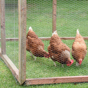 Galvanised Wire Netting, 13mm, 50 × 550 cm - NETTING, MESH, WEED BLOCK - Beattys of Loughrea