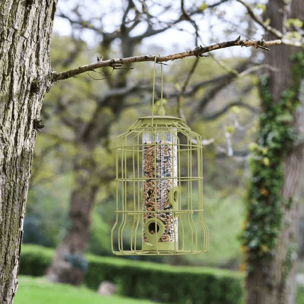 Original Squirrel Proof Seed Feeder - BIRD HOUSE/ FEEDERS - Beattys of Loughrea
