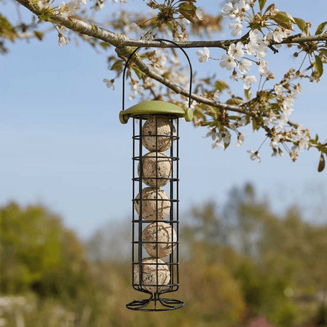 30cm Twist Top Suet Ball Feeder - BIRD HOUSE/ FEEDERS - Beattys of Loughrea
