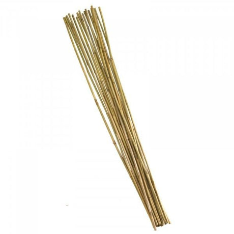 210cm Bamboo Canes Bundle 10 - PLANT TIES BAMBOO CANES STRING LABELS GARDEN PEGS - Beattys of Loughrea