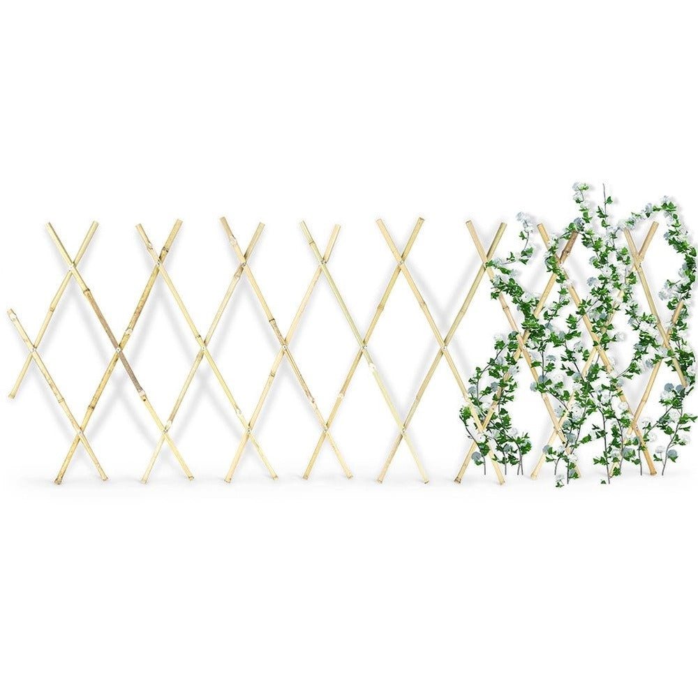 Foldable Plant Climbing Frame Bamboo 45 × 180cm - PLANT TIES BAMBOO CANES STRING LABELS GARDEN PEGS - Beattys of Loughrea