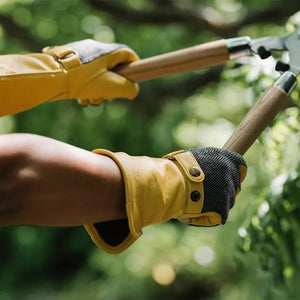 Kent & Stowe Leather Gauntlet Gardening Gloves - Medium - GARDEN GLOVES ,APRONS, KNEE PADS, GARDEN PEGS - Beattys of Loughrea