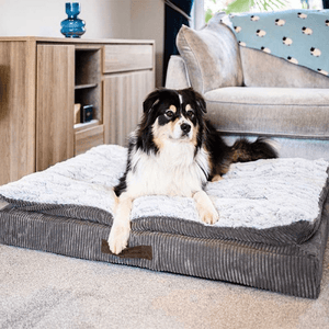 Komfort Kord Memory Foam Mattress Large - PET SLEEPING BASKET, BEDS - Beattys of Loughrea