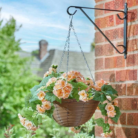 Regal Hanging Basket – Begonia Blooms - GARDEN ORNAMENTS INCL SOLAR - Beattys of Loughrea