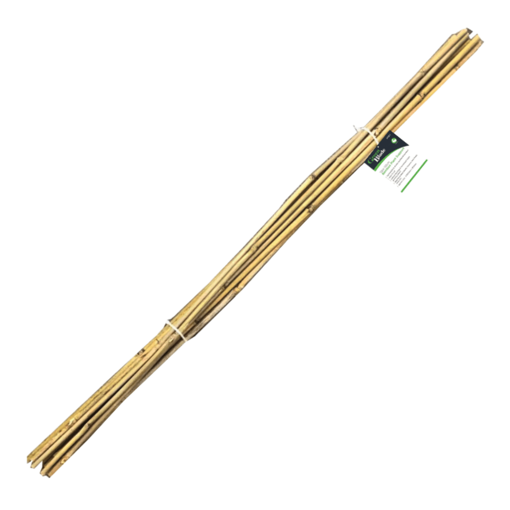 150cm Bamboo Plant Support 10 Pack - PLANT TIES BAMBOO CANES STRING LABELS GARDEN PEGS - Beattys of Loughrea
