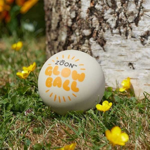 UltraBounce GlowBall Pet Toy 6cm - PET TOYS BOOKS - Beattys of Loughrea