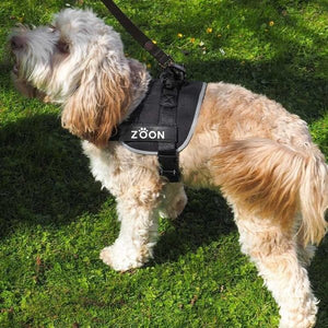 Jet Advanced Slip - on Large Walkabout Dog Harness - PET LEAD, COLLAR AND ID, SAFETY - Beattys of Loughrea