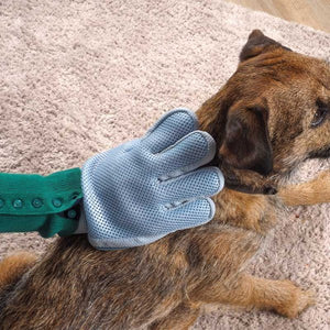 Dog Grooming Glove - PET SHAMPOO FLEA PWDR GROOMING - Beattys of Loughrea