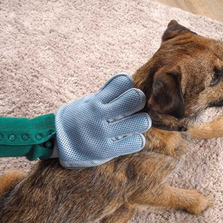 Dog Grooming Glove - PET SHAMPOO FLEA PWDR GROOMING - Beattys of Loughrea