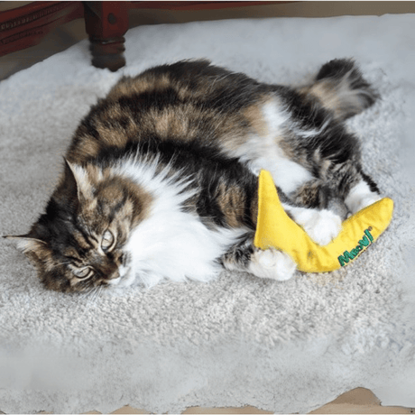 Nip - it 100% Catnip Meow! Banana Cat Toy - PET TOYS BOOKS - Beattys of Loughrea