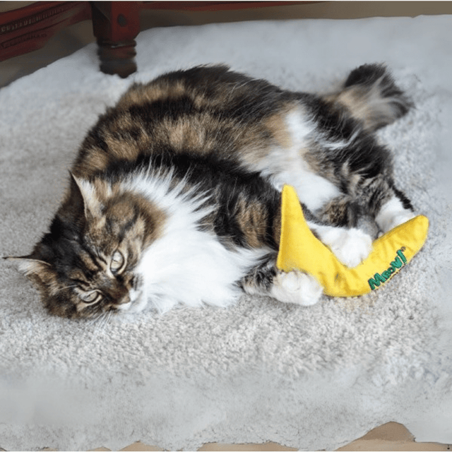 Nip - it 100% Catnip Meow! Banana Cat Toy - PET TOYS BOOKS - Beattys of Loughrea