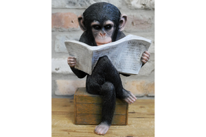 Monkey Reading The News Ornament 28cm - ORNAMENTS - Beattys of Loughrea