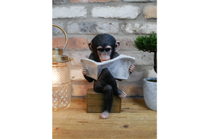 Monkey Reading The News Ornament 28cm - ORNAMENTS - Beattys of Loughrea