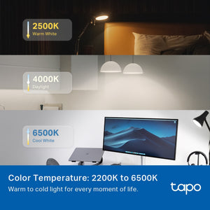 TP-Link Tapo L535B Smart Light Bulb B22 - Multicolour