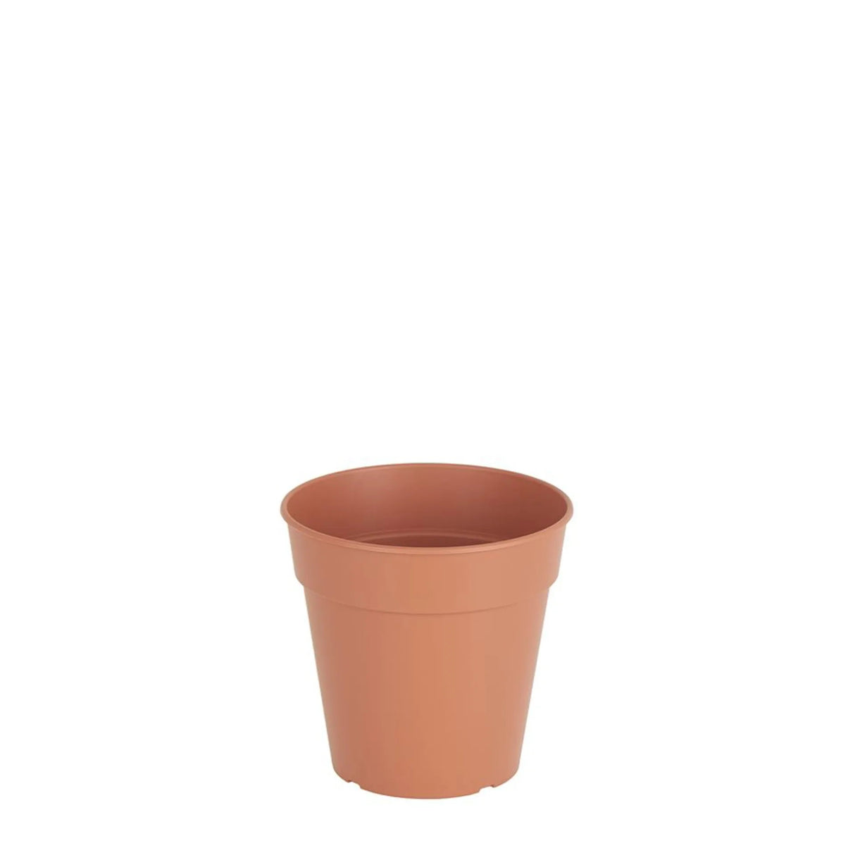 Madagascar To Grow Plastic Pot 11cm Terracotta