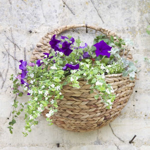 16" Wall Hanging Wicker Basket - HANGING BASKET, LINER, BRACKET - Beattys of Loughrea