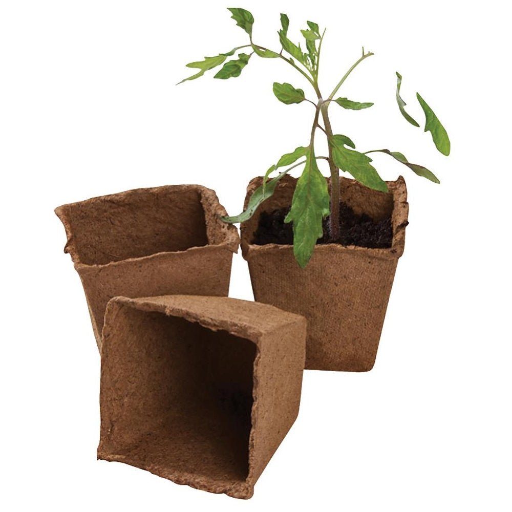 8cm Square Fibre Plant Pots, 12 Pack - PROPAGATOR, SEED TRAY, MATTING - Beattys of Loughrea