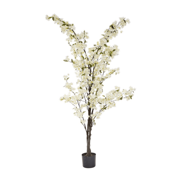 Faux Décor 140cm Artificial Cherry Blossom Tree - White - POTTED PLANTS - DRY ORNAMENTAL - Beattys of Loughrea