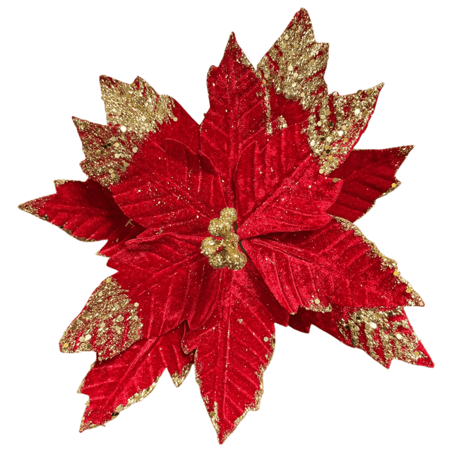 Radiant Reds Clip - Style 1 - XMAS PICKS - Beattys of Loughrea