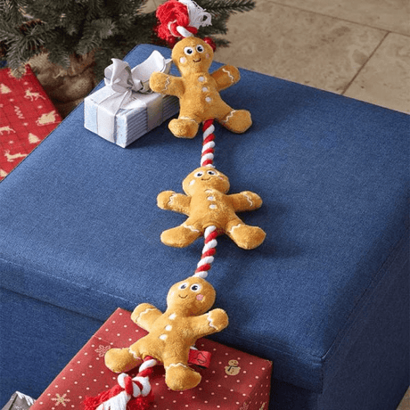 Xmas Tugga Gingerbread Dog Toy - PET TOYS BOOKS - Beattys of Loughrea