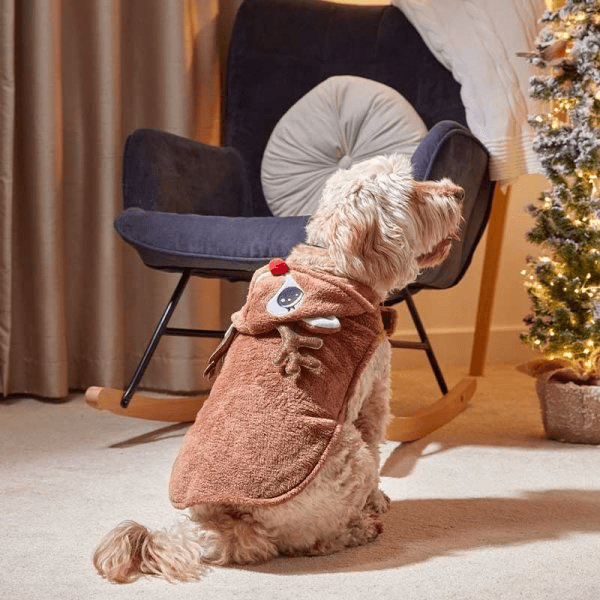 Rudy Christmas Dog Hoodie - 30cm - XMAS CLOTHING Christmas clothing human and pet - Beattys of Loughrea