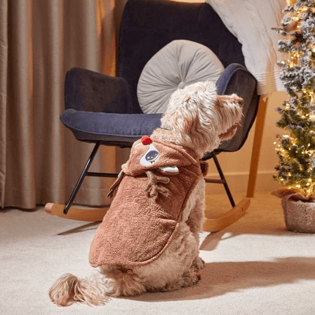 Rudy Christmas Dog Hoodie - 40cm - XMAS CLOTHING Christmas clothing human and pet - Beattys of Loughrea