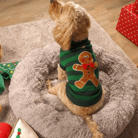 Gingerbread Christmas Dog Jumper - 40cm - XMAS CLOTHING Christmas clothing human and pet - Beattys of Loughrea