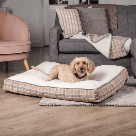 County Gusset Mattress Pet Bed - PET BLANKET CUSHIONS COATS - Beattys of Loughrea