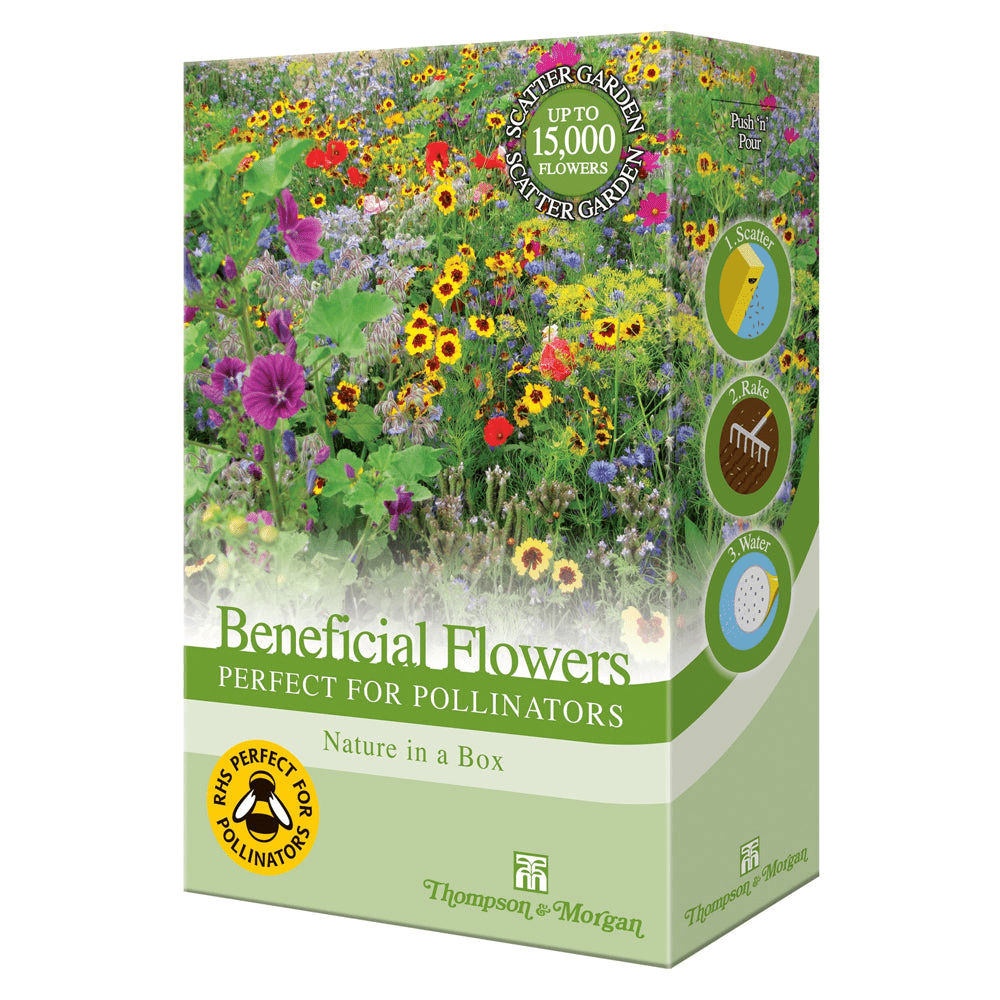 Thompson & Morgan Beneficial Scatter Flowers - Perfect for Pollinators Mix 200g - SEED VEG & FLOWER - Beattys of Loughrea