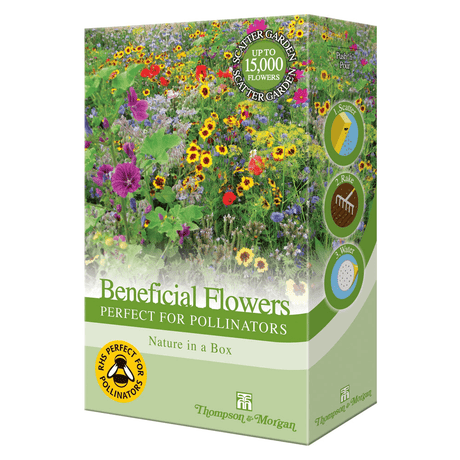 Thompson & Morgan Beneficial Scatter Flowers - Perfect for Pollinators Mix 200g - SEED VEG & FLOWER - Beattys of Loughrea